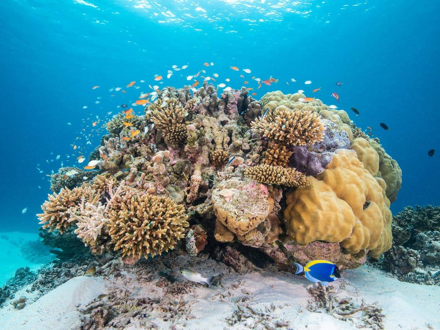 Jumeirah Vittaveli