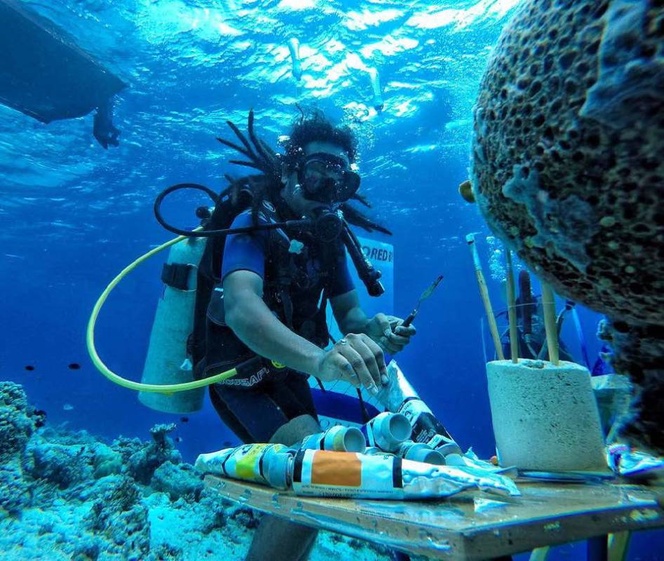 Lux South Ari Atoll