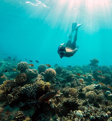 Lux South Ari Atoll